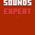 NEW MINECRAFT SOUND QUIZ