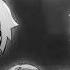 Diamond Eyes Flutter Halloween Animation