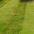 The WORST My Lawn Has Ever Looked Complete TRASH Here S What I M Using To Fix It