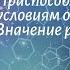 Биология 7 кл Пасечник 50 Приспособления рыб к условиям обитания Значение рыб