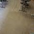 Steam Cleaning Another Office In Hurst Tx Asmrcleaning Steamcleaning Carpetcleaning
