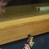 Marina And The Diamonds Primadonna Live Session