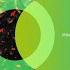 Sebastien Silva Fioniza Original Mix Area Verde