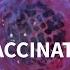 How Do Vaccines Work AFP