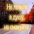Не лезьте в душу не смакуйте Almaty жизнь Life цитаты