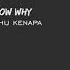 HALSEY Without Me Sam Tsui Shannon K KHS Cover Lirik Bahasa Indonesia