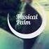 Radistai Ft Donny Montel Don T You Know Phil Phauler Remix