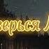 Доверься Мне