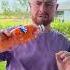 Fanta Prank Shorts Khamitovy Martaandrustam