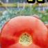This New Early Tomato Is The BEST I Ve Ever Grown