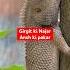 Girgit Ki Najar Shorts Girgit Ansh Najar Eyes