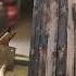 Backyard Basketball Hoop Made From Trash Is This Genius Or Madness