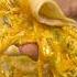 Dahi Shimla Mirchi Yummy And Tasty Reels Recipe Yummy Shorts