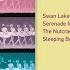 Tchaikovsky The Nutcracker Suite Op 71a TH 35 2d Arabian Dance Coffee