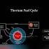 The Thorium Fuel Cycle Shorts