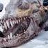 Russian Scientists Discover Unbelievable Monster In Antarctica