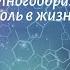 Биология 7 кл Пасечник 6 Многообразие грибов их роль в жизни человека