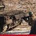 Germany Joins Anti Russia War NATO Nation Green Lights Long Range Strikes Despite US Peace Push