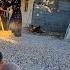From Sand To Tile The Story Of Effort And Empathy Of Asghar And Shawkat