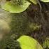 Relaxing Celtic Music Beautiful Music Relaxing Music Flute Music Meditation Music 91