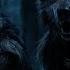 Werewolves Howling In The Night 8 Hours Of Wolf Sounds