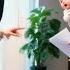 CEO Rejected All Job Seekers But Fell For A Single Mom Who Showed Up To The Interview With Her Kid