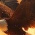 Powerful Prophetic Music Move Me Holy Spirit Prayer Instrumental