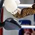 BREAKING Gervonta Davis TEAMS Up With Shakur To BEAT Lamont In Rematch