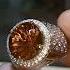 Natural Gold Citrine Ring Perak Handmade Super Mewah Citrine Quartz Batumulia Permata Ruby