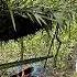 5 Days Solo Survival In The Amazon Jungle No Food No Water No Shelter