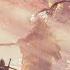 SEKIRO SHADOWS DIE TWICE Dei Uma Farmada
