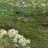 A Trip To Bering Sea Episode 8 Unga Island