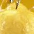 Citrus Fruits Song