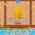 Mega Rare Divine Sunflower Seed In Grow A Garden Growagarden Roblox