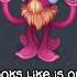 ALL Mythical Inspirations Island Resemblances Shorts