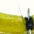 Senko Fishing Tricks Beginner And Advanced
