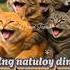 Barkada Outing