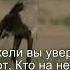 Коран Сура Аль Мульк 67 16 Чтение Корана с русским переводом Quran Translation In Russian