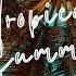 Tropical Summer