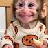 Hello Do You Miss Me