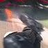 Worst High Speed Motorcycle Crashes CrashBanditoNL