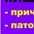 Болезни кишечника причины патогенез симптомы