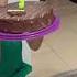Туған күніңмен ботақан Happybirthday Shorts туғанкүн сднемрождения