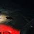 ОБНОВЛЕНИЕ Режима ТУШИТЕ СВЕТ в Dead By Daylight