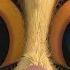 The Best Of Mort DreamWorks Madagascar