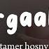 Ergaaly Tamer Hosny Lyrics Arabic Latin Terjemahan ارجعلي