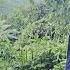 Mute Mother Saves Policeman Son From Bad Guys