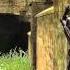 ANan HafANana CoD2 Fragmovie