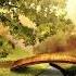 레인보우 브릿지 스티브바라캇 Rainbow Bridge Steve Barakatt