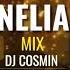 MANELOGIA NOSTALGIA DJ COSMIN OFICIAL